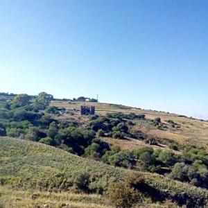 House with 2 bedrooms in Costa Saracena Castelluccio with wonderful sea view and enclosed garden 2 km from the beach