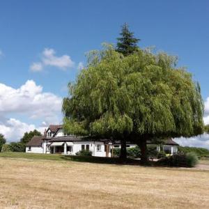 The Cottage Malvern