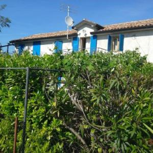 House Ivas with garden