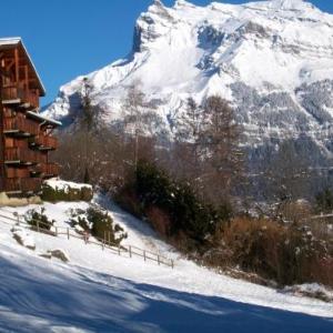 Apartment with one bedroom in Saint Gervais les Bains with wonderful mountain view and furnished garden