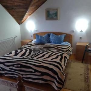 Vila Lenka Sokobanja