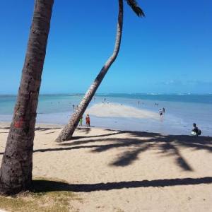 Maceio Facilities Apartamento Temporada
