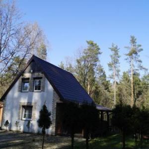 Piękny domek do wynajęcia w Bogaczewie nad jeziorem Narie