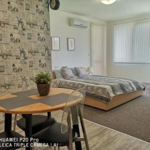 SeeGarden 19