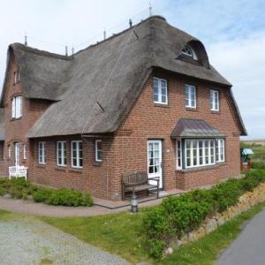 Hus Waasluuper Lachmöwe