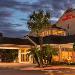 Hilton Garden Inn McAllen Airport