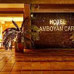 Hotel Flamboyan-Caribe 