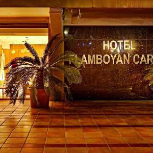 Hotel Flamboyan-Caribe