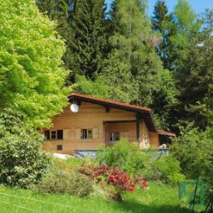 Holiday Home Rinchnach - DMG04022-F