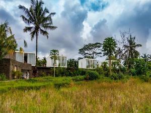 White Cubes Ubud, Bali