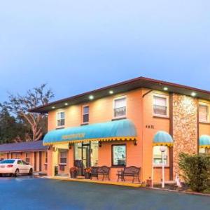 Knights Inn - Kissimmee Orlando hotel in Kissimmee