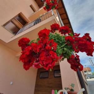 Apartments Karabegovic