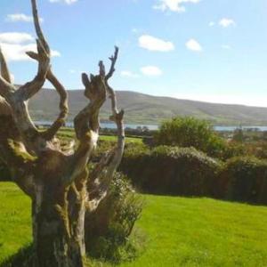 Holiday Home Valentia Island - EIR03095-F