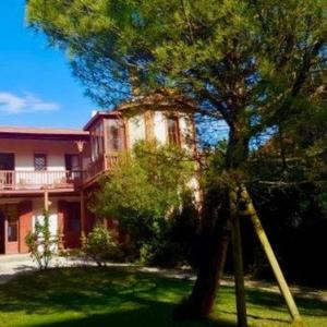 Superbe Villa Arcachon Face Mer - 11 Pièces 15 Pers Jardin Accès Direct Plage - FR-1-433-17