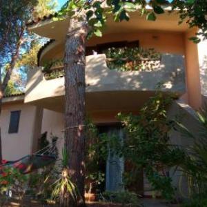 Green House - Woods And Beaches - Sardinia