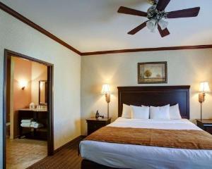 Comfort Suites University Drive, College Station