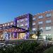 Hotels near North Carolina Azalea Festival - Holiday Inn Express & Suites - Wilmington West - Medical Park