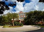 Mango Florida Hotels - Hilton Garden Inn Tampa East/Brandon