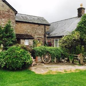 The Draen Bed and Breakfast