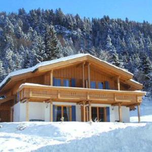 Holiday Home Chalet Walchsee - SHG400