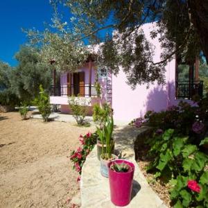 Villa Athina: Experience the real Cretan nature!