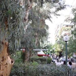 Absolute Athens III