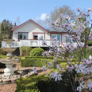 Scenic Holiday Home in Balk near Lake