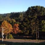 Inns in Campos Do Jordao 