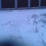 Guesthouse Boomerang Kamensk Shakhtinskiy 