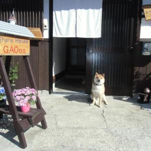 Kanazawa Share House GAOoo