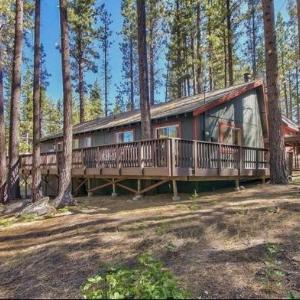 Brown Bear in the Woods of Tahoe Hot Tub Ski House