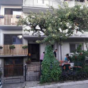 Sanja Accomodation