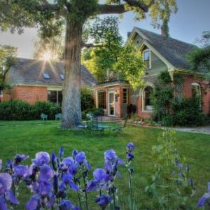 Hotels near Folsom Field - Briar Rose Bed & Breakfast