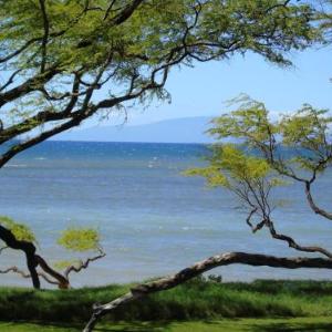 Aloha Aku Bamboo Suite - Discover Beachfront Serenity