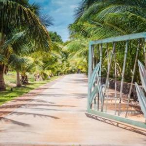 Aloha Aku CoCoPalm Suite - Experience Tropical Bliss