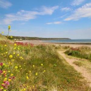 Clover Cottage Port Eynon