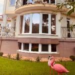 Flamingo Plus Guesthouse