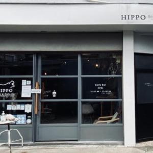 Hippo Hostel and Cafe Bar