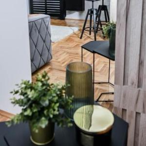Cozy Apartment Plus