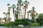 Anza California Hotels - Villa Royale Inn