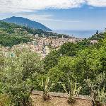 Entire Villa with pool in Recco Cinque Terre 