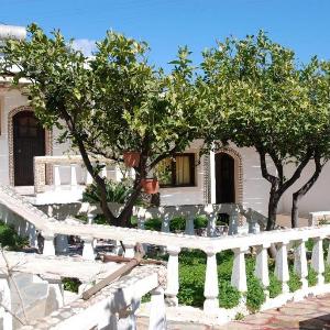 Quiet place with efflorescent garden