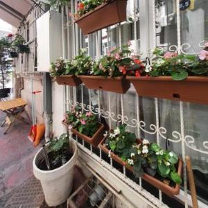 TAKSİM LİFE HOUSE
