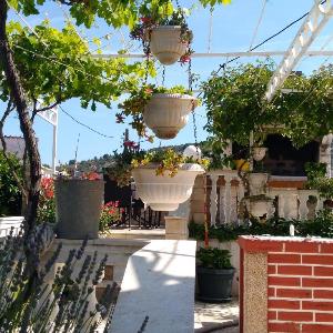 New And Completely Renovated Apartment 53