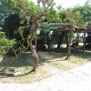 Apartments Grgorini - Ground Floor