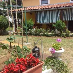 Holiday home Vesna - garden