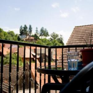 Avram Iancu Private Apartment with AC