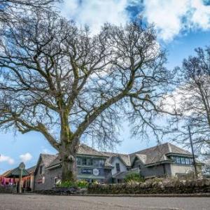 Hotels near Drymen Show Field - Oak Tree Inn