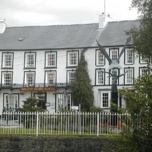 Neuadd Arms Hotel