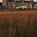 Marine North Berwick